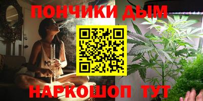 дживик Можга