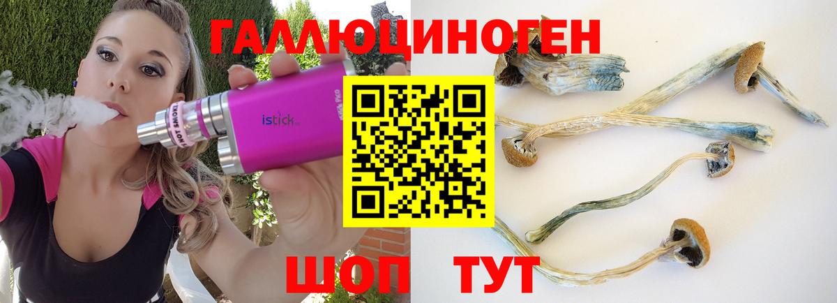 Псилоцибиновые грибы прущие грибы Волгоград